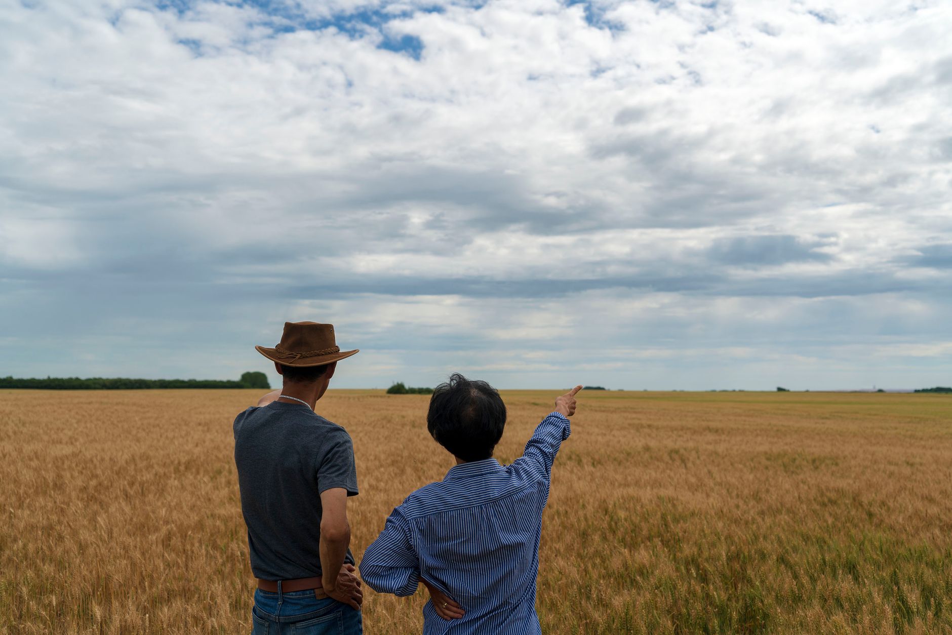 Avvocato diritto agrario Padova per prelazione agraria confinante, riscatto fondi rustici, denuntiatio e contenzioso agrario.